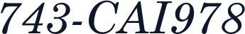 743-CAI978