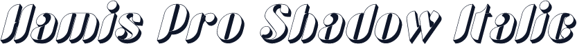 Hamis Pro Shadow Italic