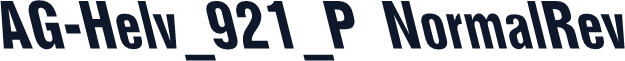 AG-Helv_921_P NormalRev