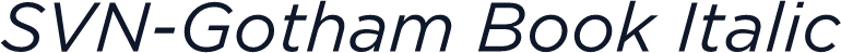 SVN-Gotham Book Italic