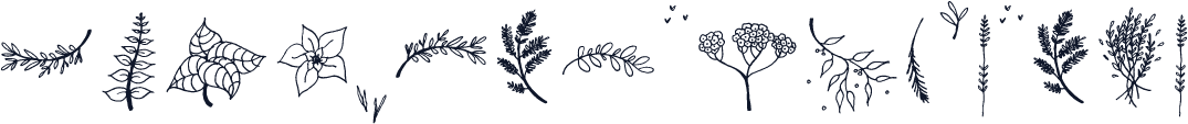 PitchOrHoneyFloral