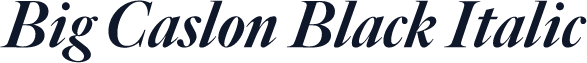 Big Caslon Black Italic