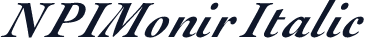NPIMonir Italic
