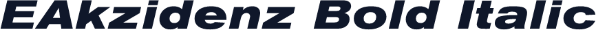EAkzidenz Bold Italic