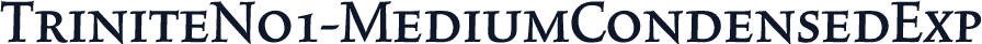 TriniteNo1-MediumCondensedExp