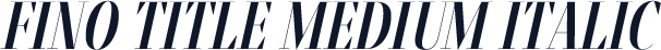 Fino Title Medium Italic