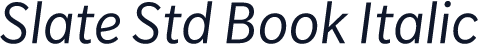 Slate Std Book Italic