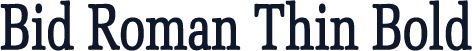 Bid Roman Thin Bold