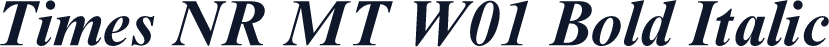 Times NR MT W01 Bold Italic