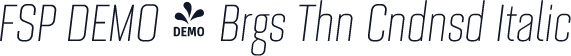 FSP DEMO - Brgs Thn Cndnsd Italic
