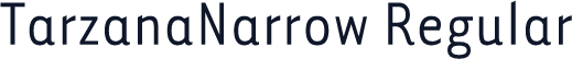 TarzanaNarrow Regular