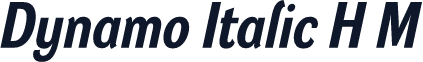 Dynamo Italic H M