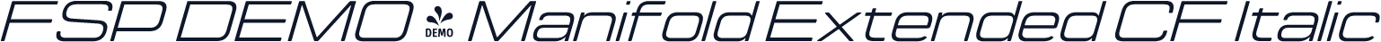 FSP DEMO - Manifold Extended CF Italic