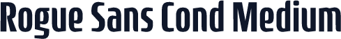 Rogue Sans Cond Medium