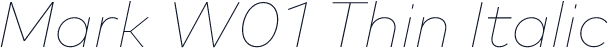 Mark W01 Thin Italic