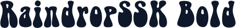 RaindropSSK Bold