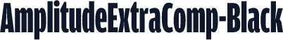 AmplitudeExtraComp-Black