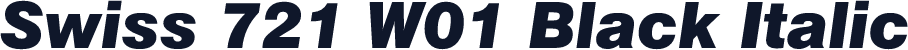 Swiss 721 W01 Black Italic