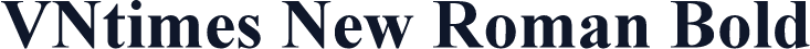VNtimes New Roman Bold