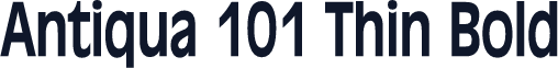 Antiqua 101 Thin Bold