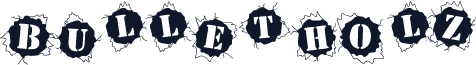 BulletHolz