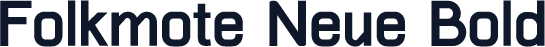 Folkmote Neue Bold