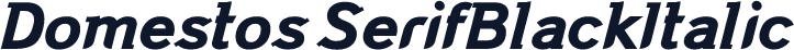 Domestos SerifBlackItalic