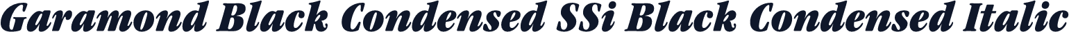 Garamond Black Condensed SSi Black Condensed Italic