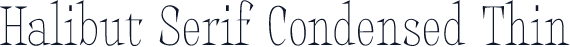 Halibut Serif Condensed Thin