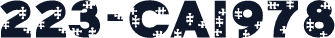 223-CAI978