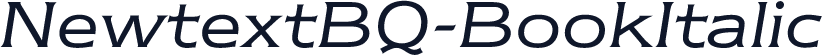 NewtextBQ-BookItalic
