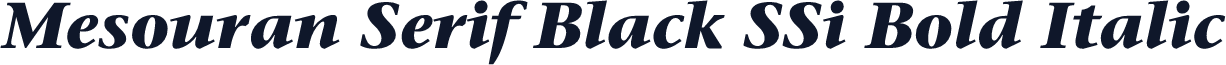 Mesouran Serif Black SSi Bold Italic