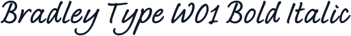 Bradley Type W01 Bold Italic