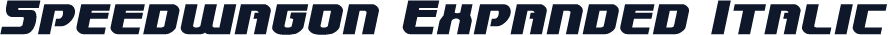 Speedwagon Expanded Italic