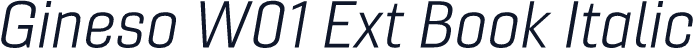 Gineso W01 Ext Book Italic