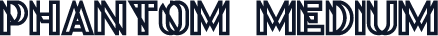 Phantom Medium