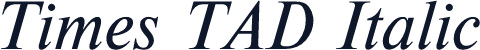 Times TAD Italic