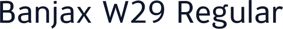Banjax W29 Regular