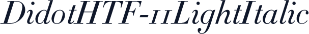 DidotHTF-11LightItalic