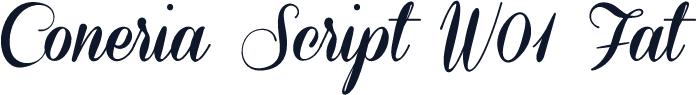 Coneria Script W01 Fat