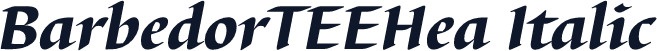 BarbedorTEEHea Italic