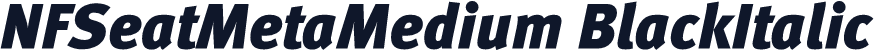NFSeatMetaMedium BlackItalic