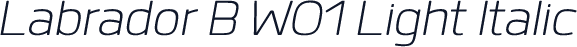 Labrador B W01 Light Italic