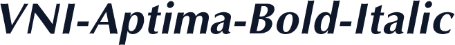 VNI-Aptima-Bold-Italic