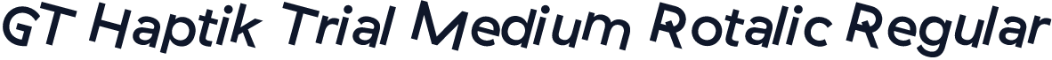 GT Haptik Trial Medium Rotalic Regular