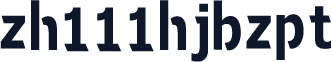 zh111hjbzpt
