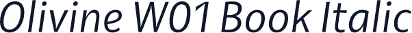 Olivine W01 Book Italic
