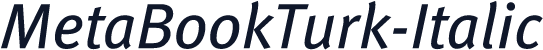 MetaBookTurk-Italic
