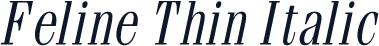 Feline Thin Italic