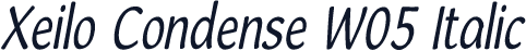 Xeilo Condense W05 Italic